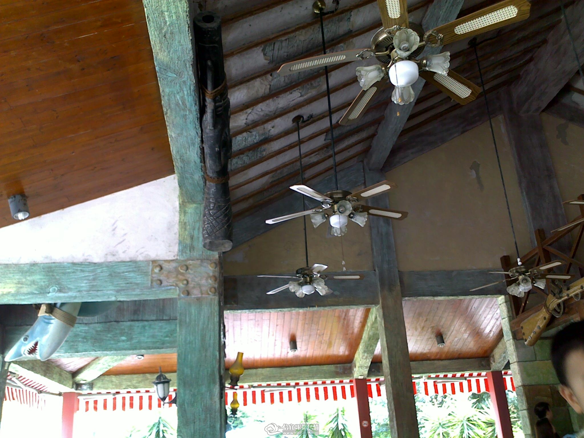 20110910282.jpg