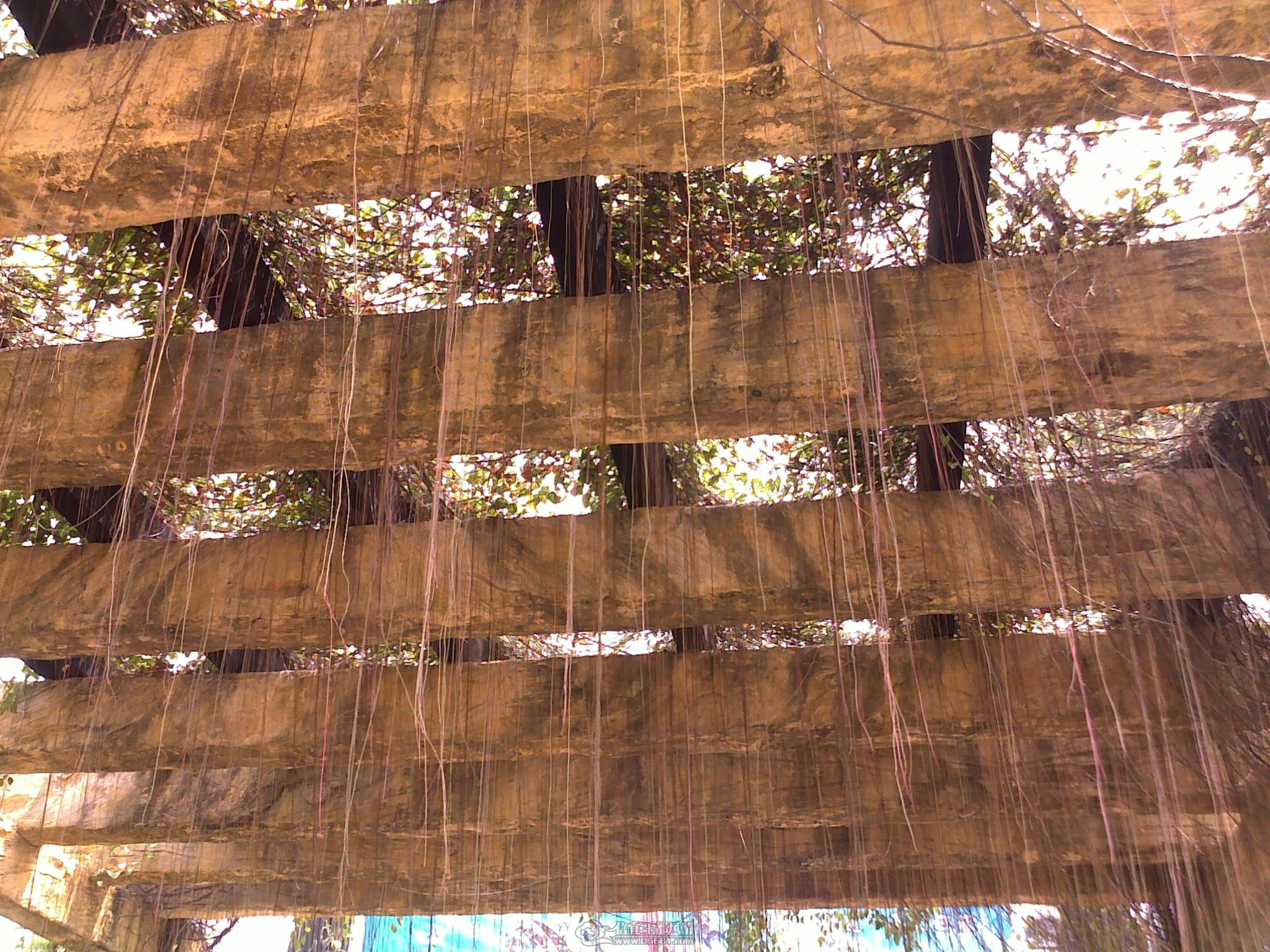 20110910316.jpg