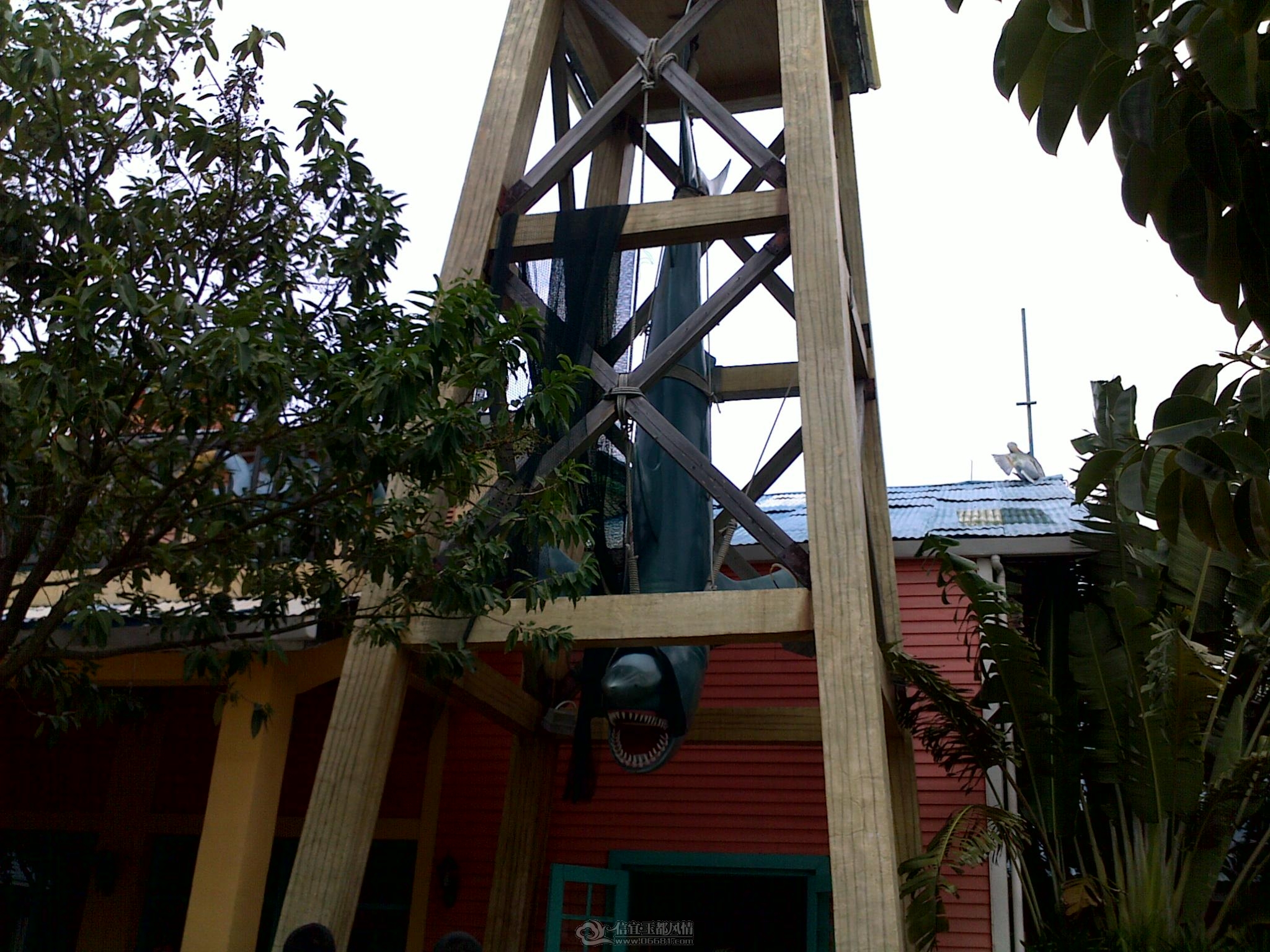 20110910318.jpg