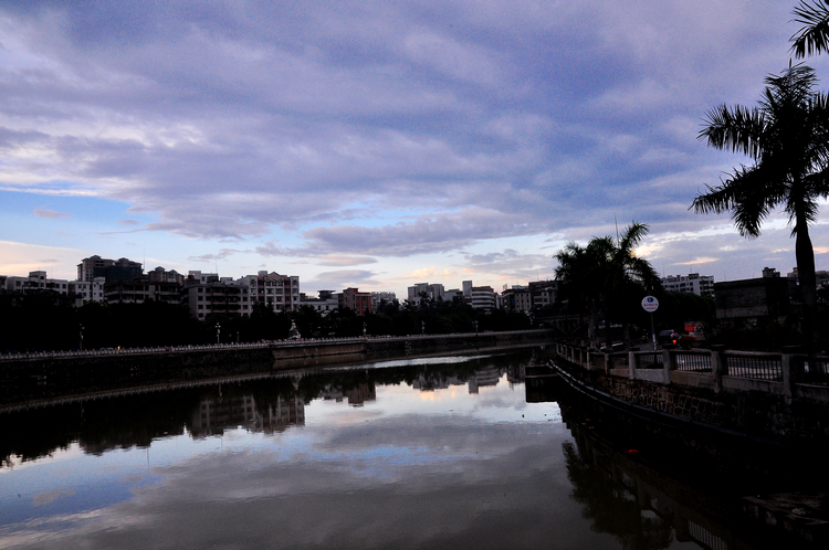 DSC_00250.jpg