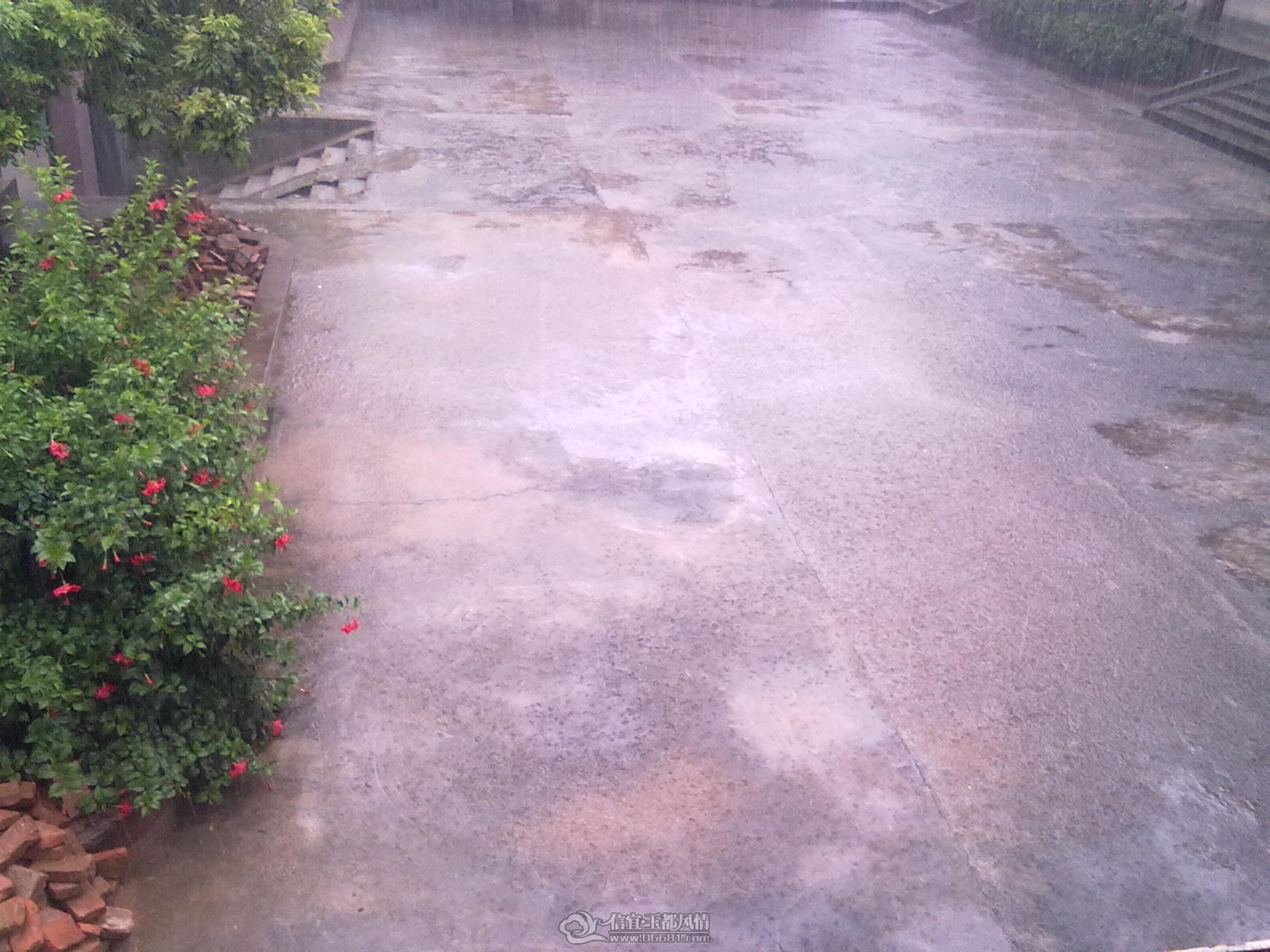 20110914010.jpg