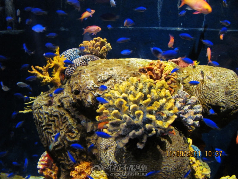 IMG_6520.JPG