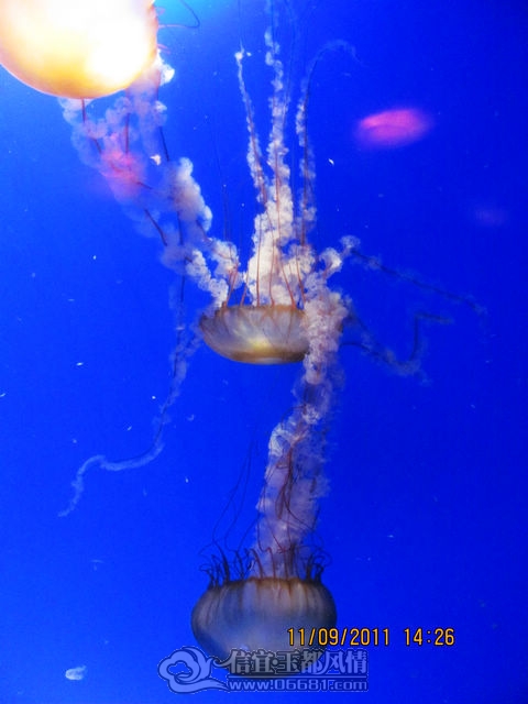IMG_6702.JPG