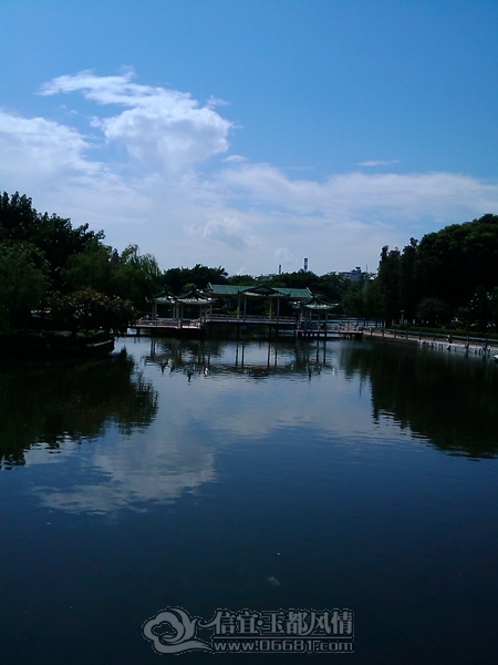IMAG0234.jpg
