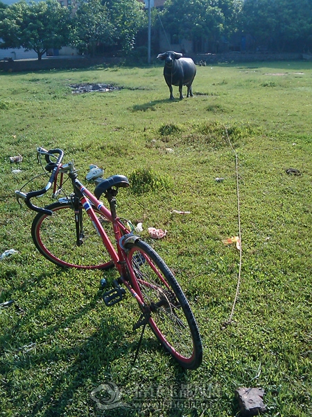 IMAG0243.jpg