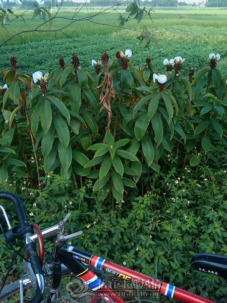 IMAG0250.jpg