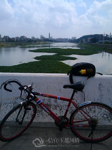 IMAG0260.jpg