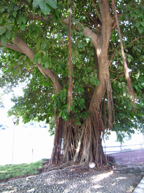 ��ת IMG_7421.JPG