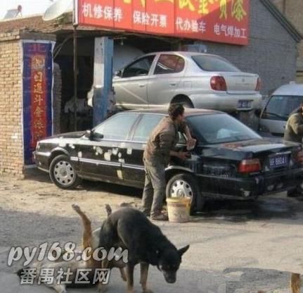 ����Ů�ֱ�ML������»������ֱ�ϴ����羹�����޶�.jpg
