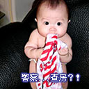 �鷿.jpg