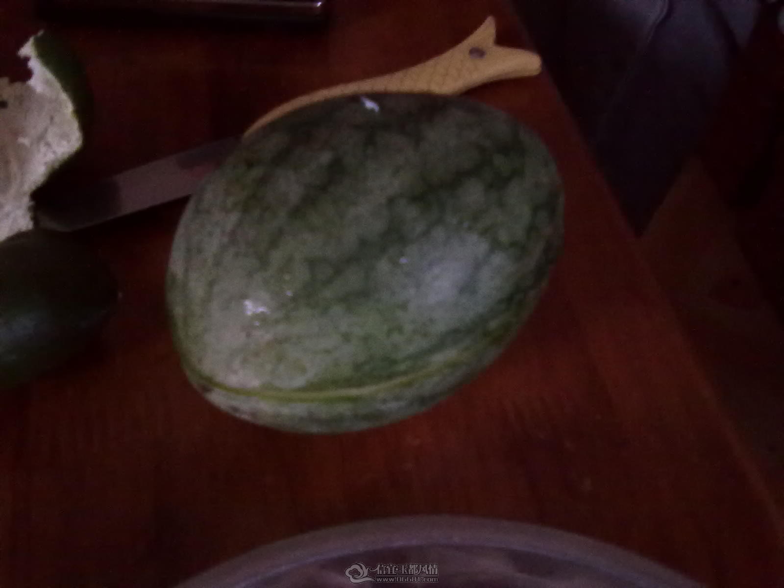 20110920023.jpg
