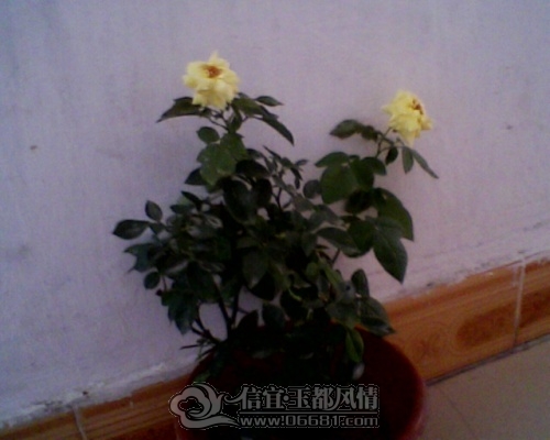 IMG0192A.jpg