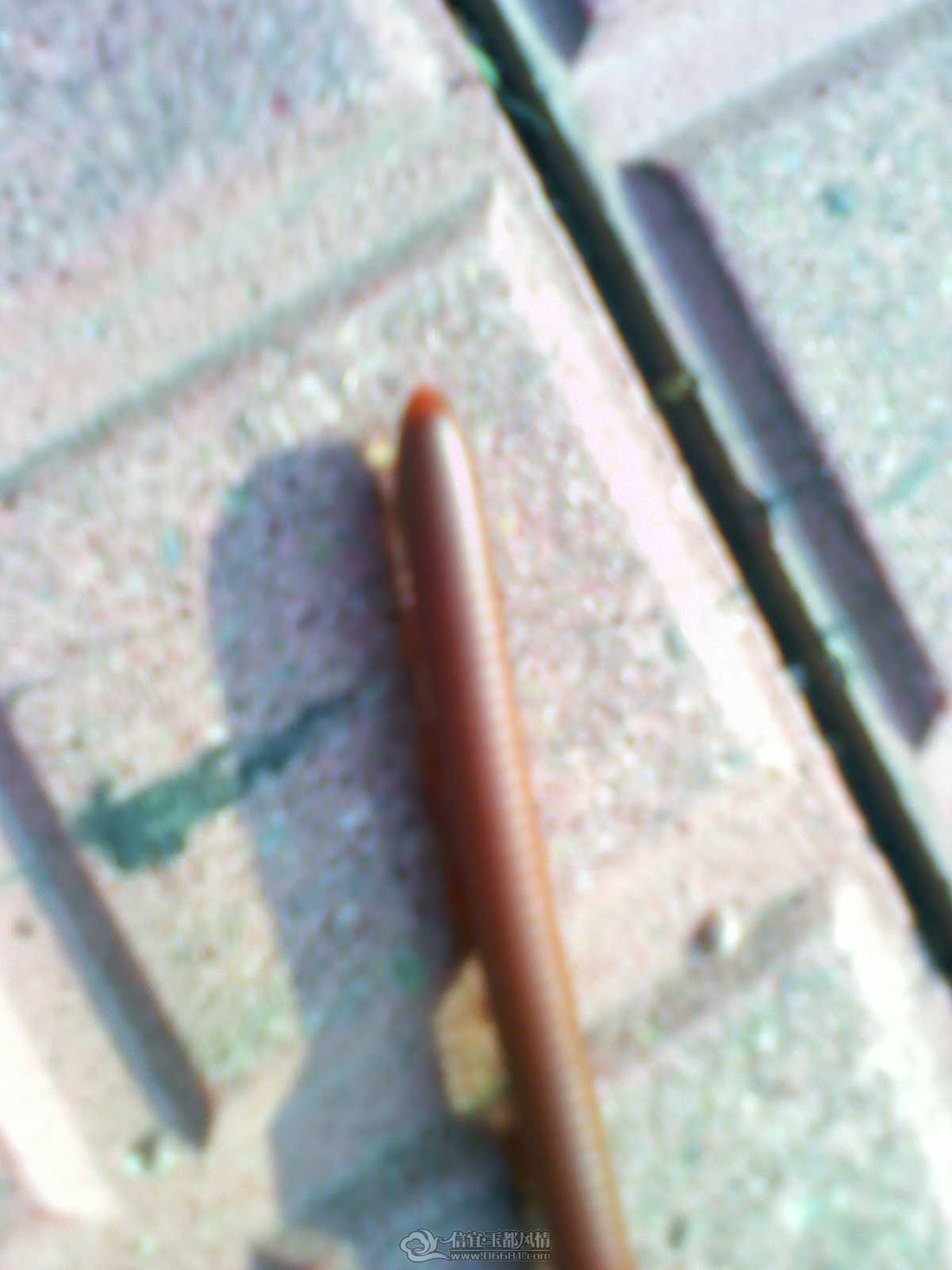 2011092225.jpg