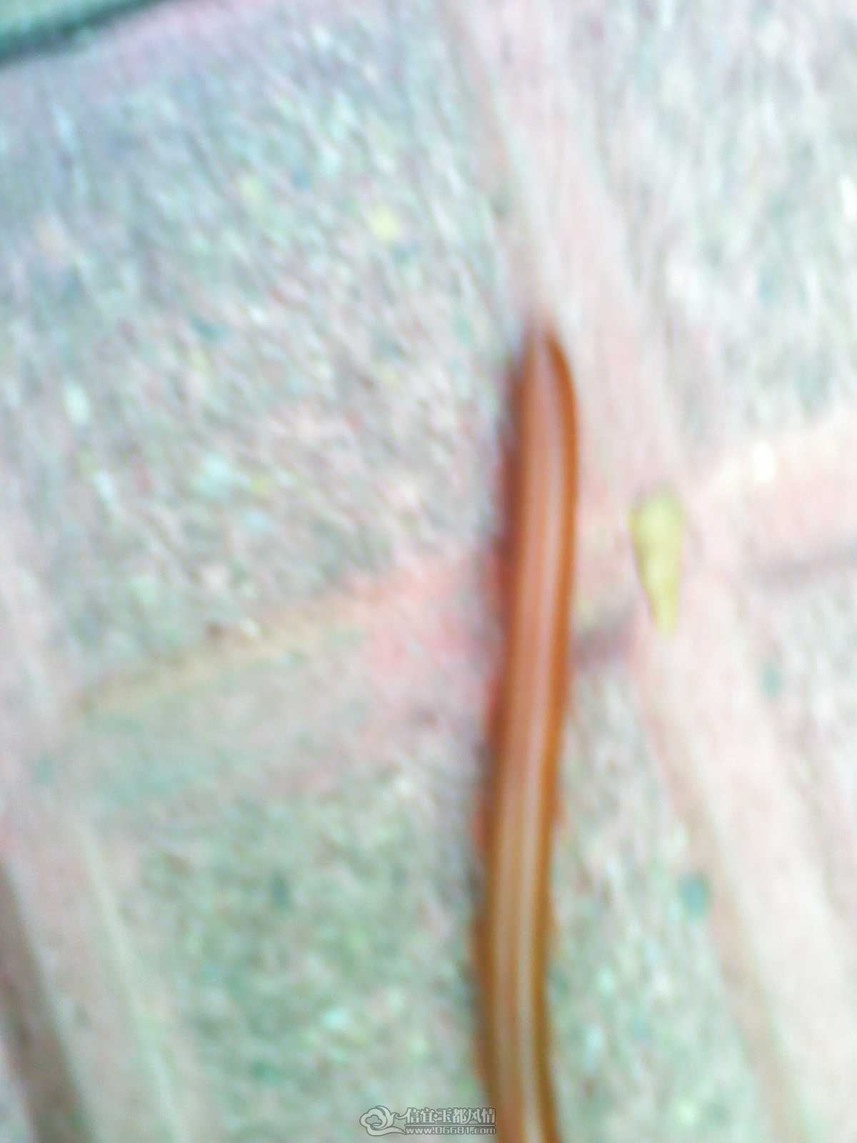 2011092222.jpg