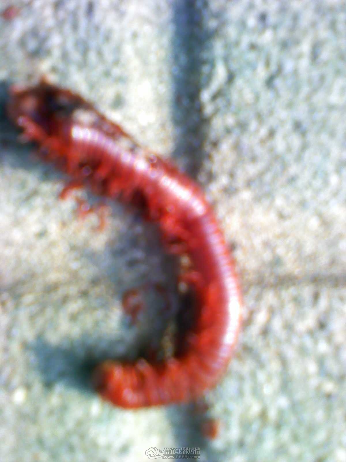 2011092223.jpg