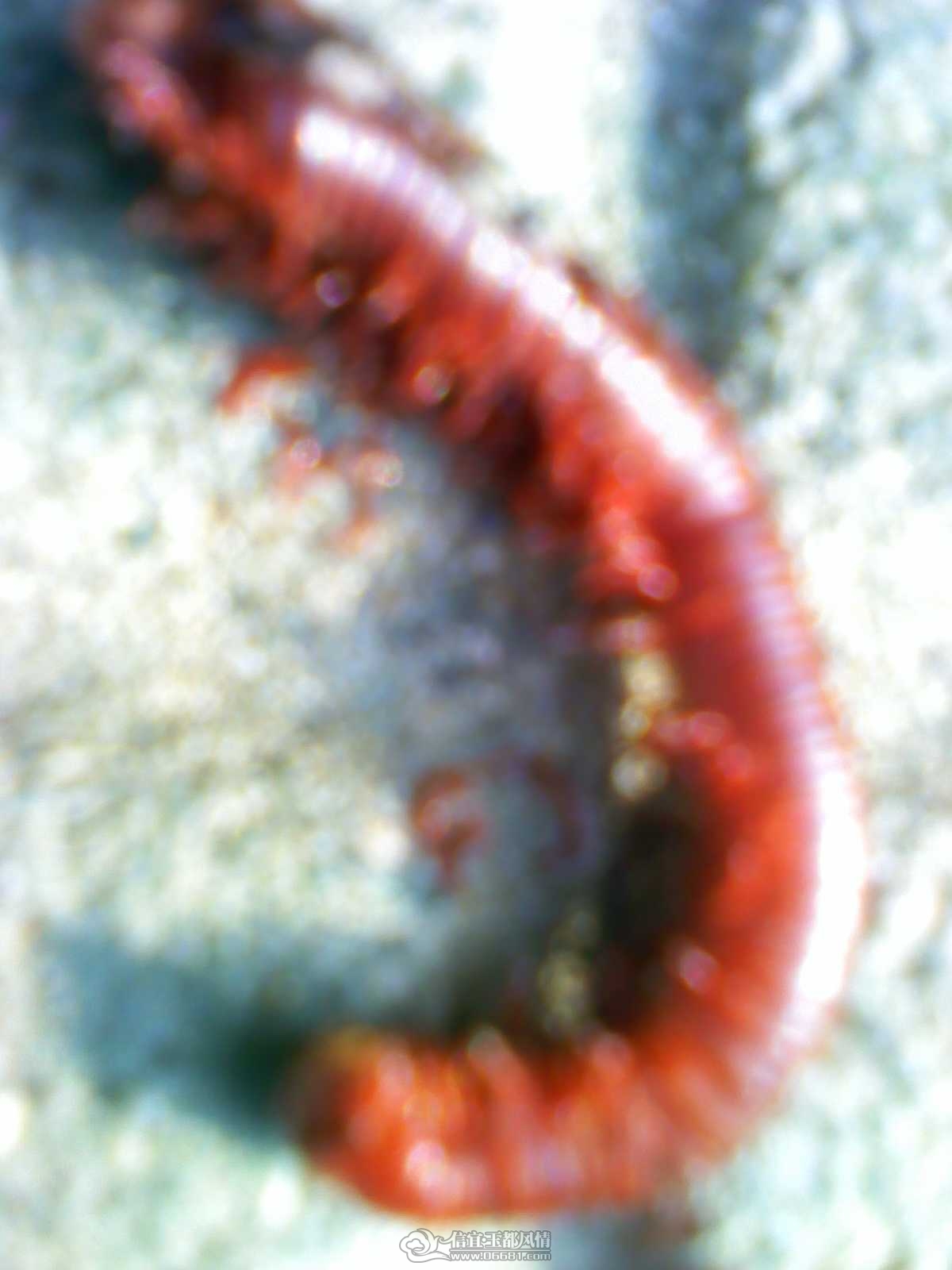 2011092224.jpg