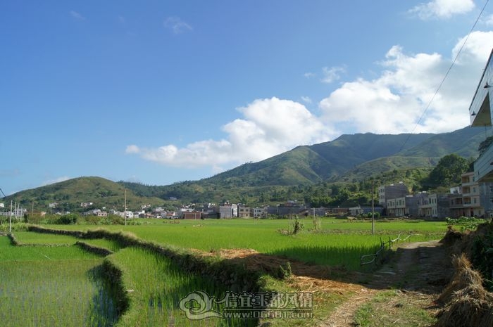 nEO_IMG_DSC01706.jpg