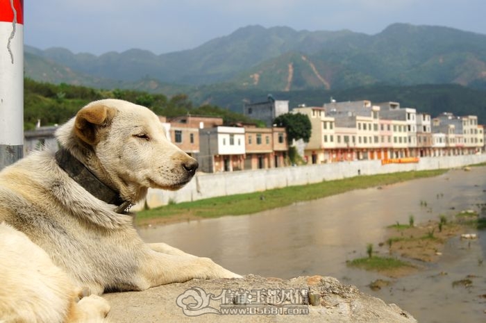 nEO_IMG_DSC02921.jpg