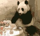 211355i5oog5jk55c92cgr.gif