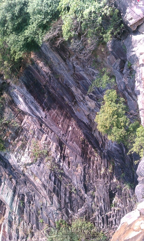 IMAG0144.jpg