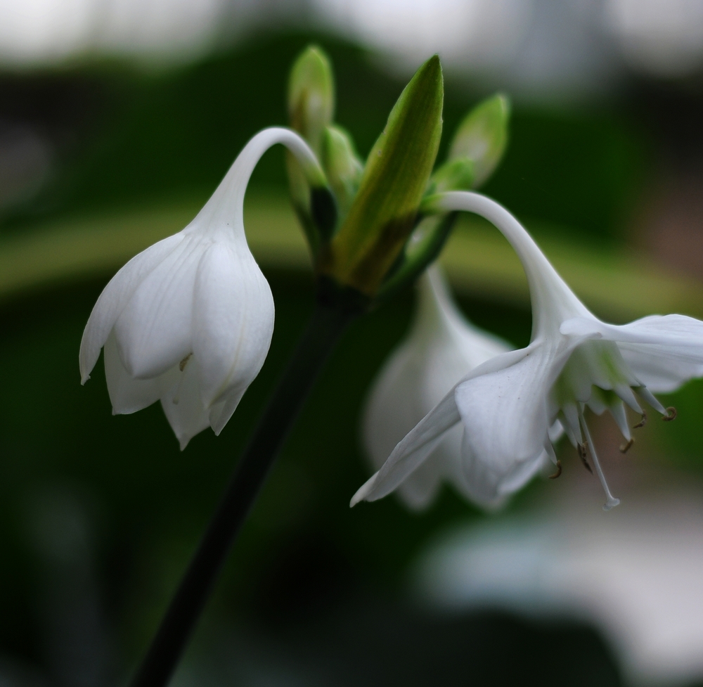 DSC_03100.jpg