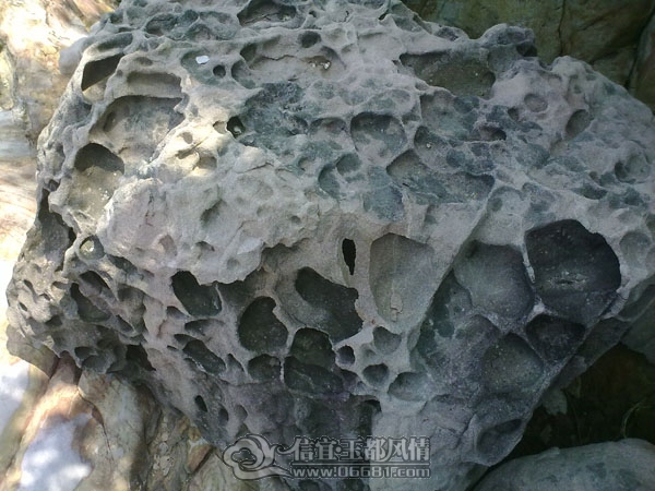 201109102600.jpg