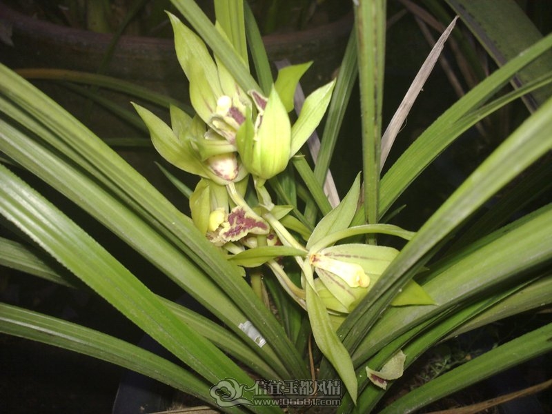 20110925322.jpg