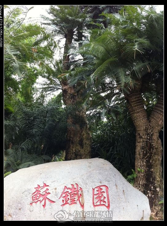 �ֻ���Ƭ 074.jpg