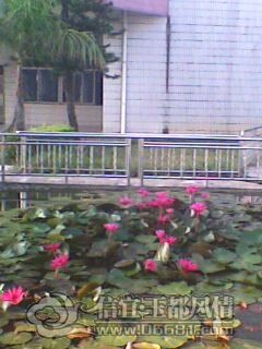 IMG0225A.jpg
