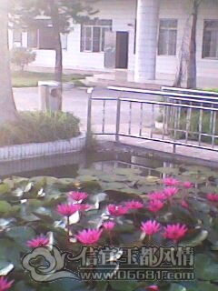 IMG0224A.jpg