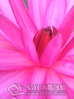 IMG0240A.jpg