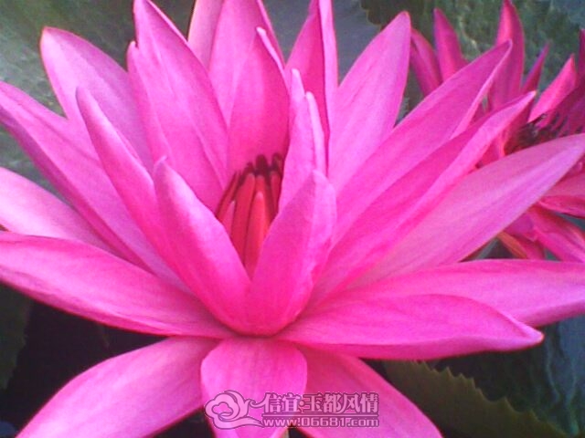 IMG0255A.jpg