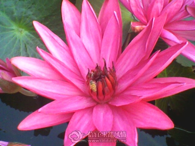 IMG0263A.jpg