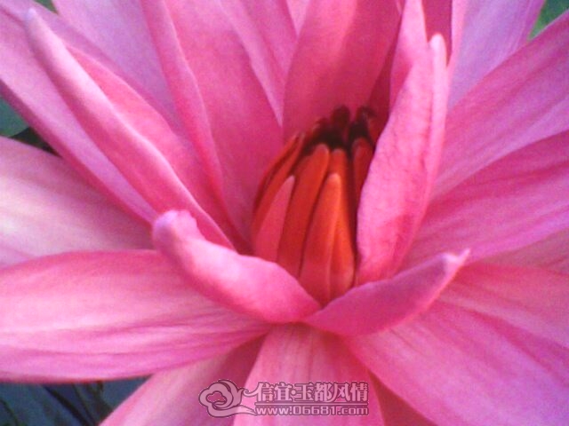 IMG0262A.jpg