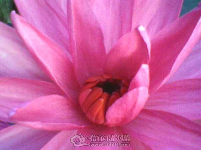 IMG0261A.jpg