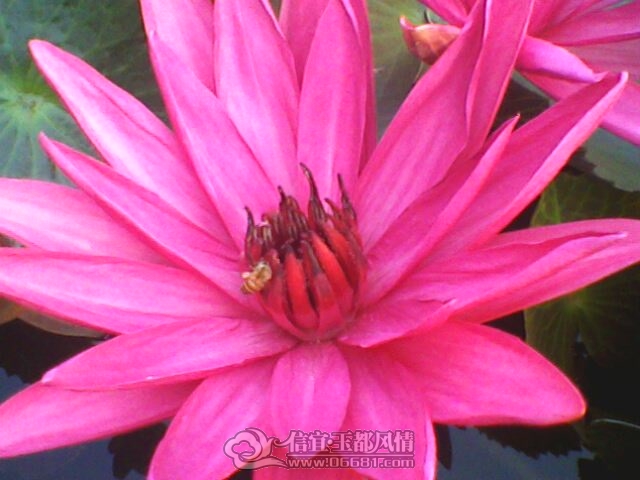 IMG0266A.jpg