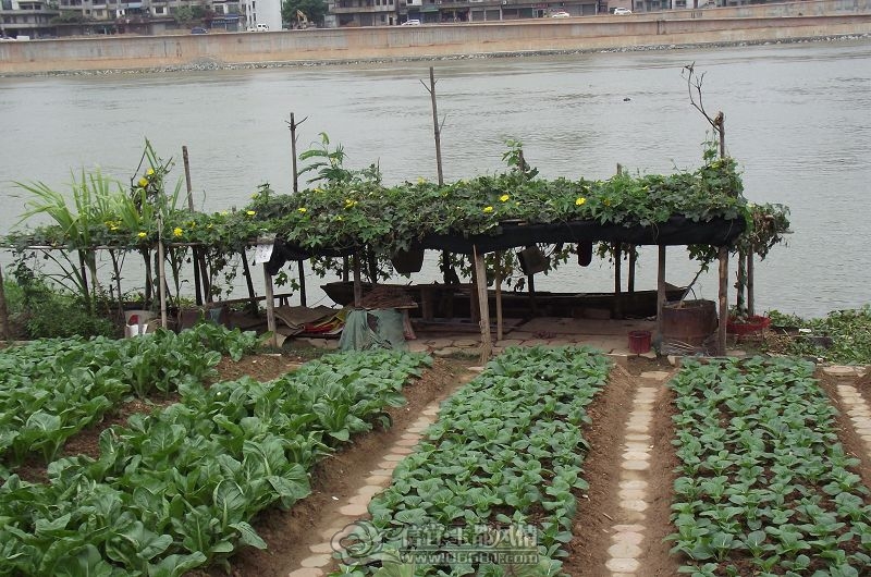 DSCF2458.JPG
