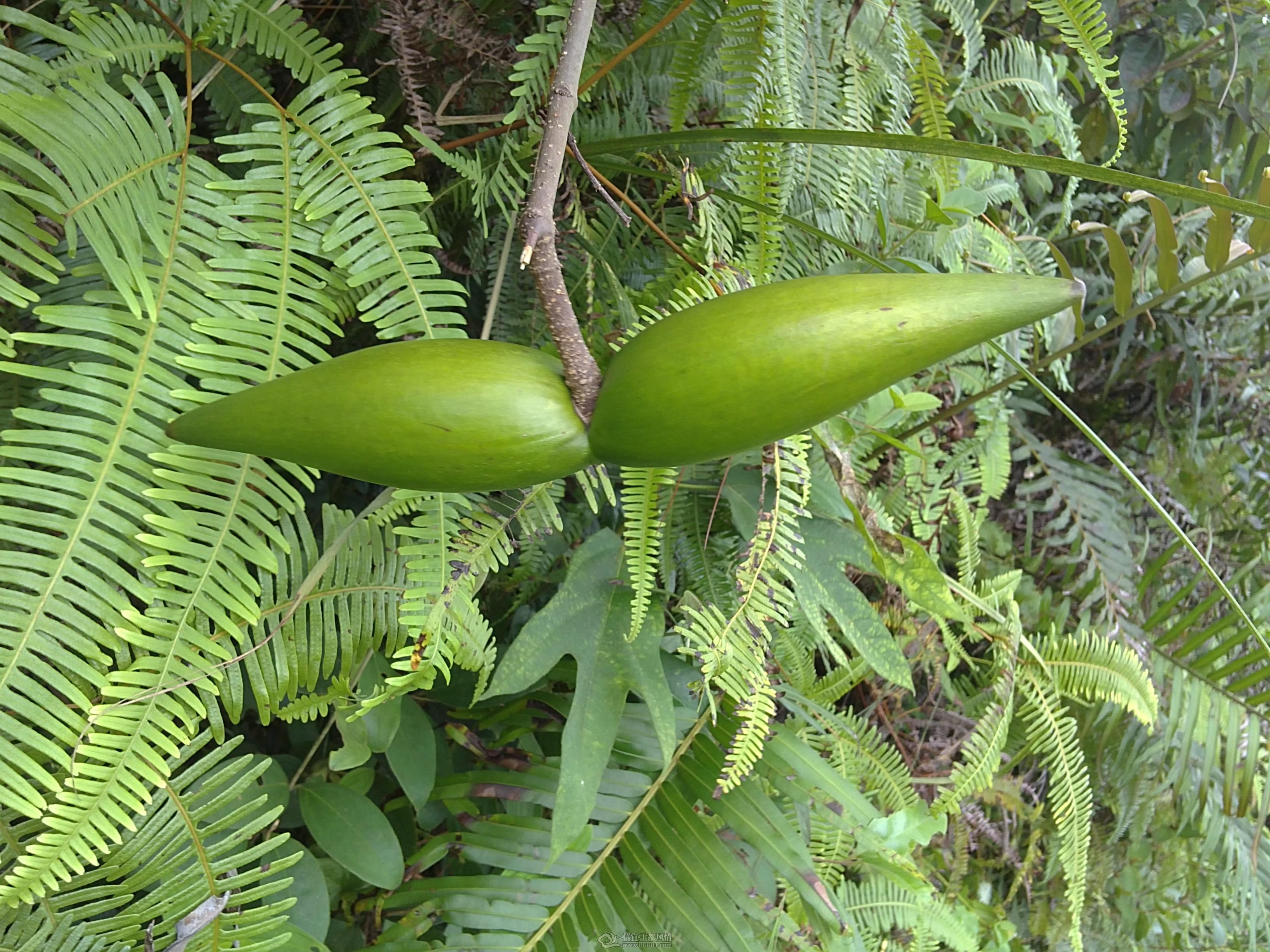 20111002345.JPG