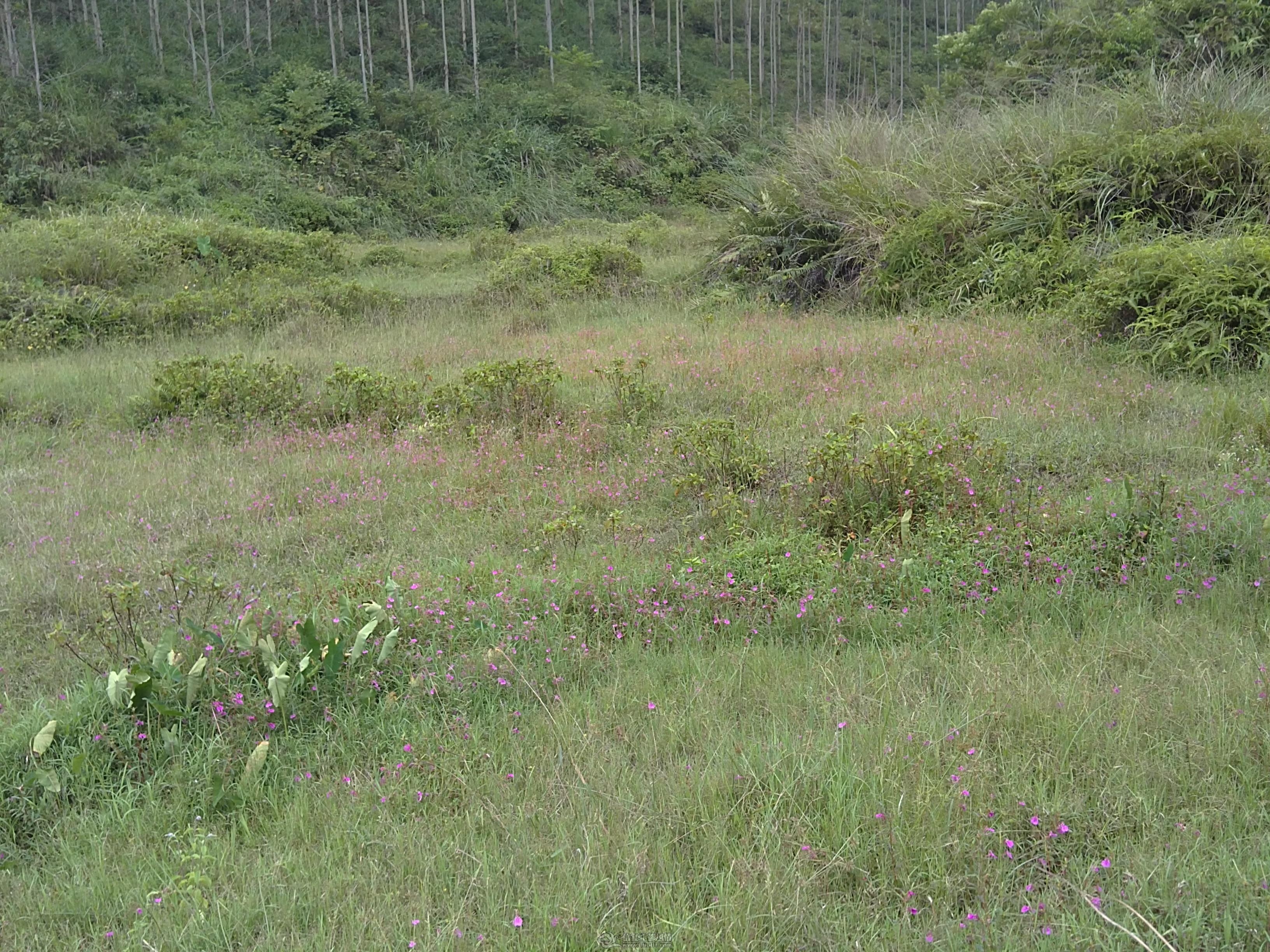 20111002341.JPG