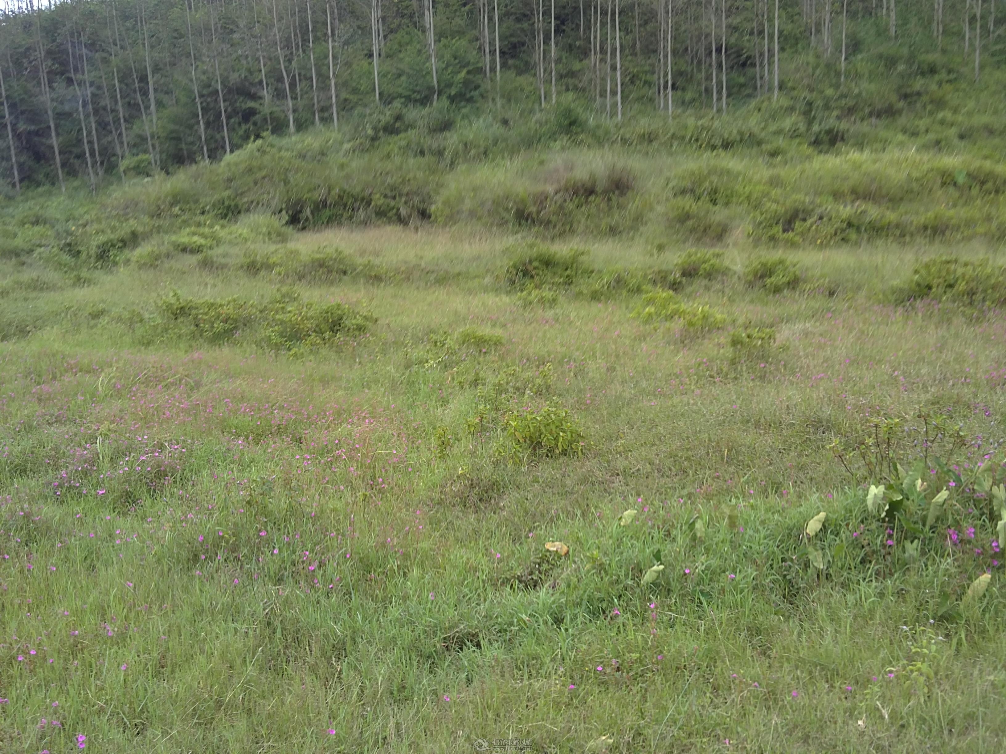 20111002342.JPG