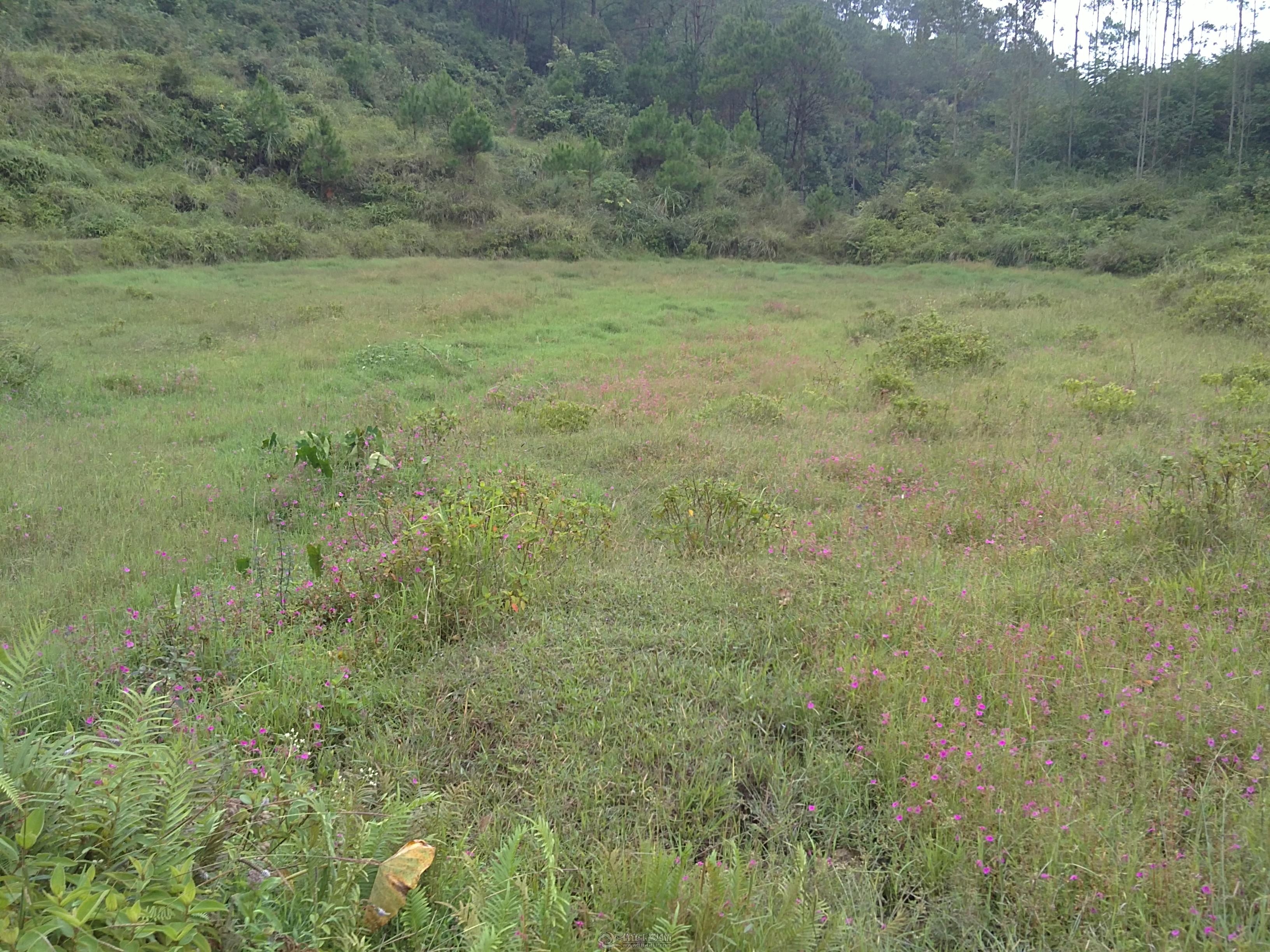 20111002343.JPG