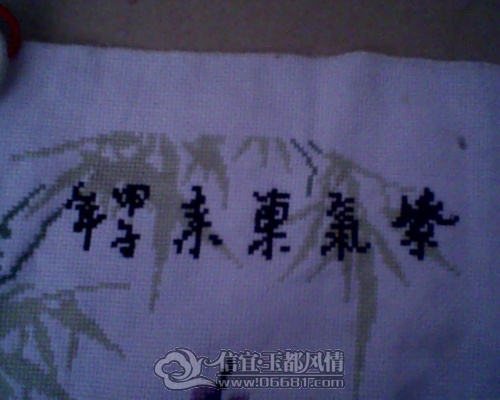 IMG0224A.jpg