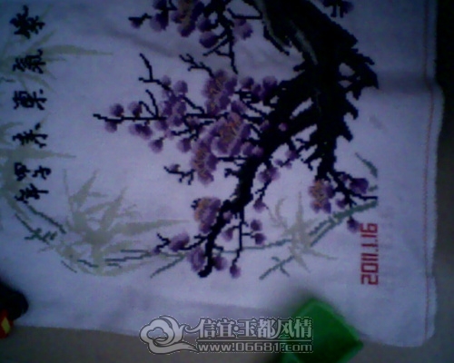 IMG0225A.jpg