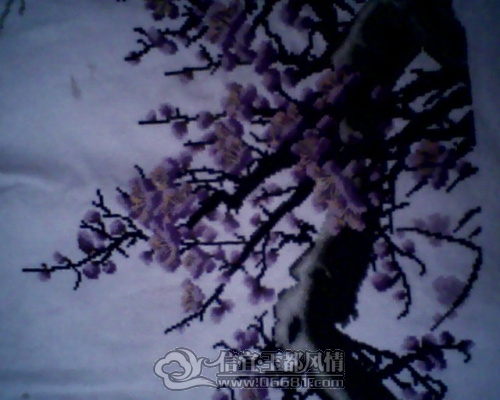 IMG0226A.jpg