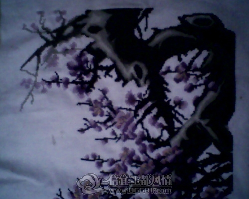 IMG0227A.jpg