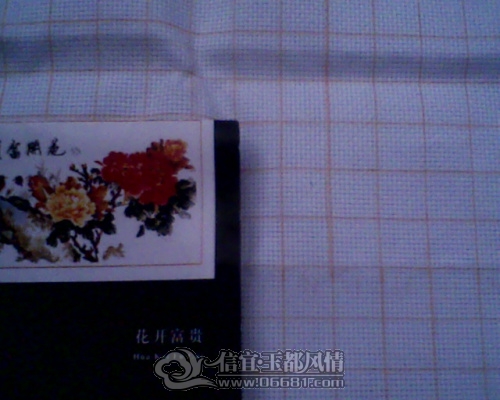 IMG0234A.jpg