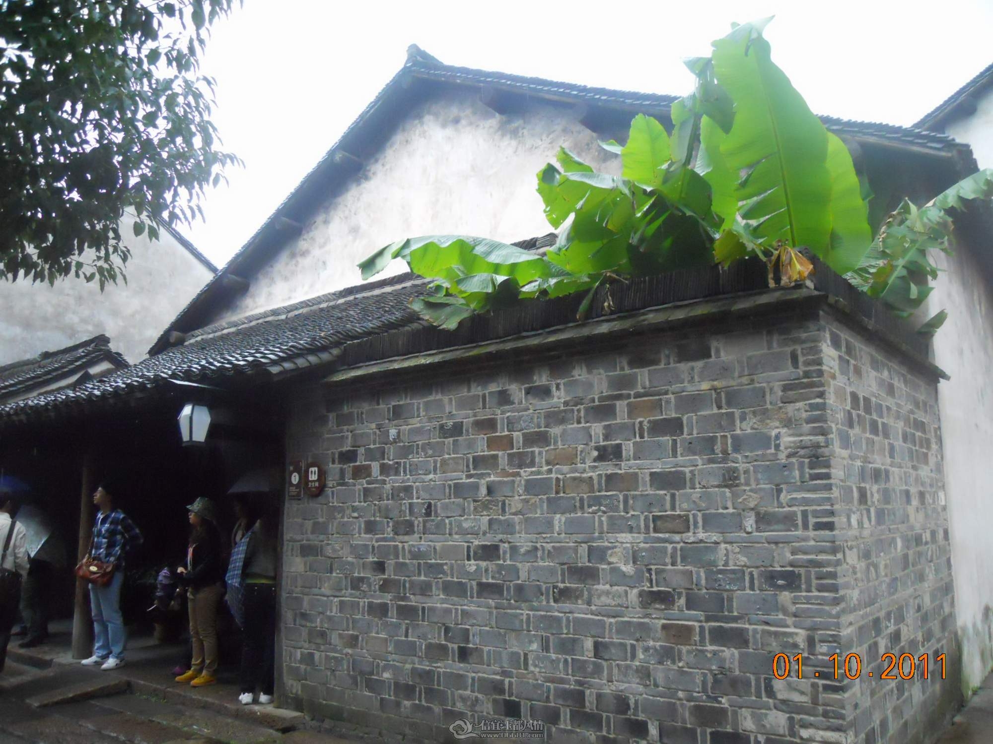 DSCN1256.JPG