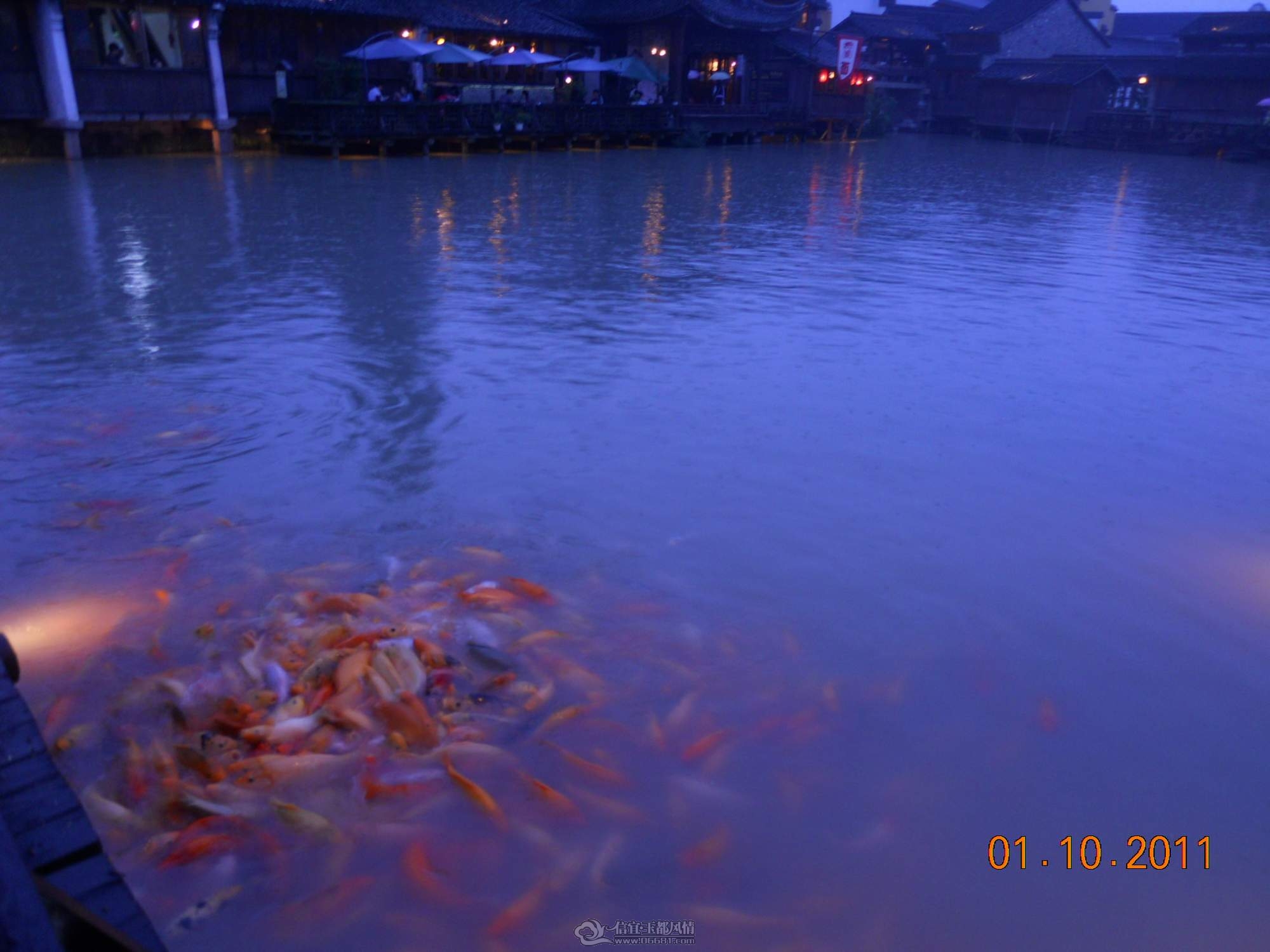 DSCN1324.JPG