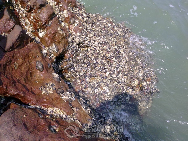 201109102645.jpg