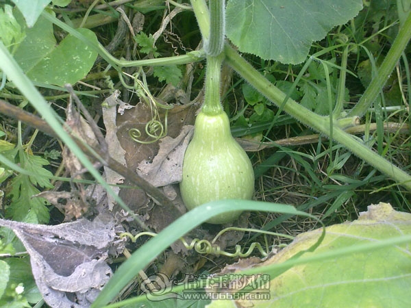 201110032868.jpg